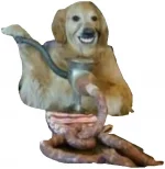 god.webp