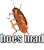 hoesmad.gif