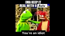 aviv is an idiot.webp