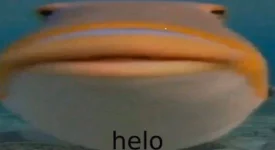 1581374130393.webp