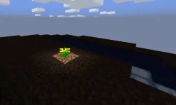 Flower.webp