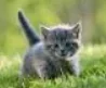 1599175082965.webp