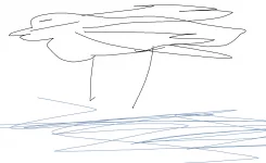 Duck 5.webp