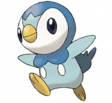 393Piplup.webp