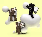 1599841933652.webp
