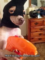 thief_o_3910673.webp