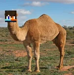 1601316531932.webp