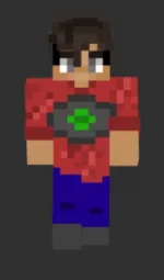 skin.webp