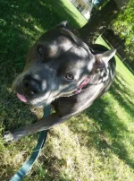 Screenshot 2020-10-10 141935.webp