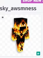 1602535751132.png
