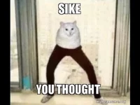 1602611818520.png