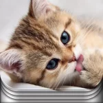 444E00F3-8F7C-4FCB-8794-23EF3774FB77.webp