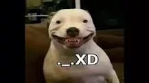 ._.XD.webp