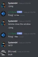 window ping.webp