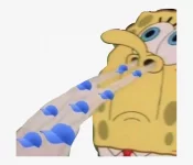 1604167216513.png