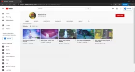 New tab - [InPrivate] - Microsoft Edge 11_2_2020 9_00_32 PM.png