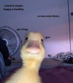 20c.webp