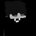 sskies.webp