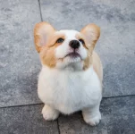 1605460920329.webp
