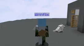 2020-11-19_21.58.12.webp