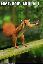 everybody-chill-out.webp