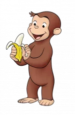 1606854318998.webp
