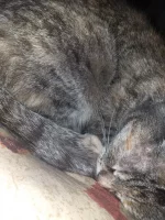 20201206_193957.webp