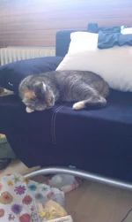 IMG-20150902-WA0002.webp