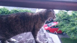 IMG-20160612-WA0041.webp