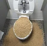 tnhvps0r1zx31.webp
