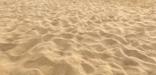 1607667336063.jpeg