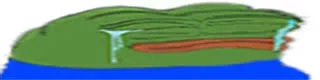 .webp