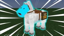 gepyp.webp