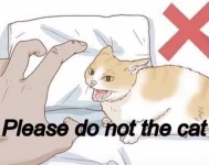 please do not the cat.webp