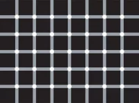 illusion-6.webp