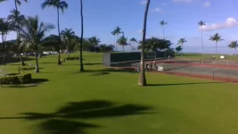 IMG_20201231_230631.webp