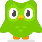 1609690569518.webp