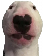 Walter.webp