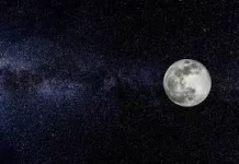 1610826423518.webp