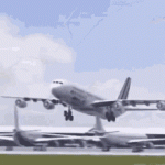 tenor (3).gif