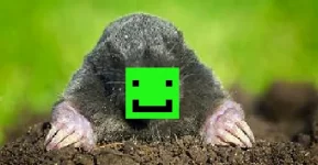 1612488049390.png