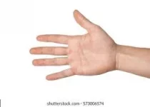 1613172724332.webp