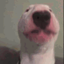 710971390773297242.gif