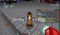 Donkey 1.webp