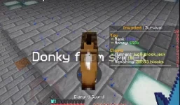 Donkey2.webp