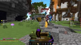 POV you're an egirl on any mc server.webp