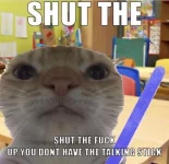 youdonthavethetalkingstick.webp