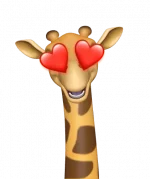 1617828328358.webp