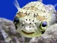 1617971521112.webp