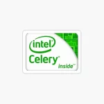 celery.webp
